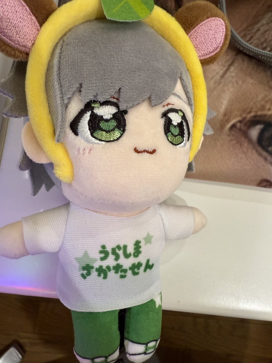 やまだぬきちゃん☘うらたぬき (@uratasama_kari) on Twitter photo 