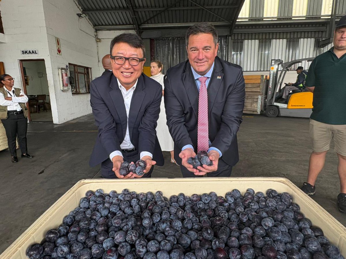 jsteenhuisen's tweet photo. First shipment of plums to the People’s Republic of China. 🇿🇦🇨🇳 https://t.co/qf31FHHn1j