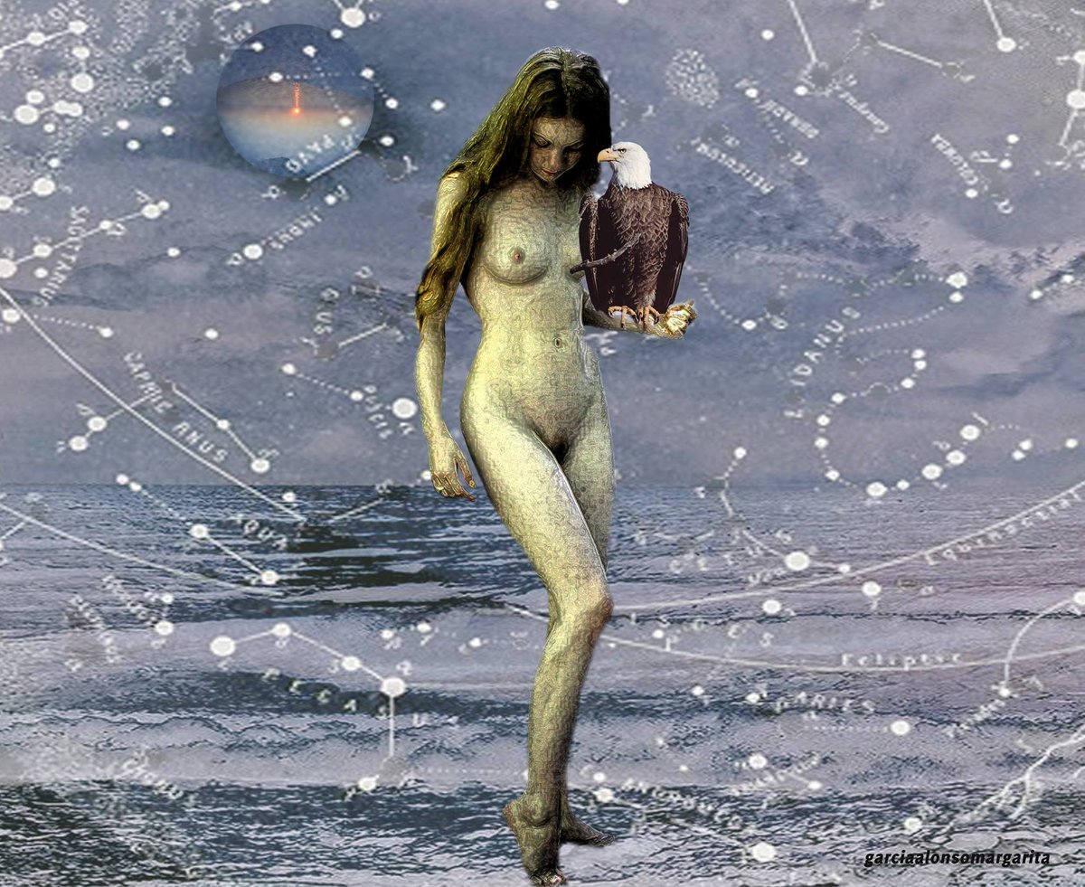 chiquitamala's tweet photo. #marga✋👽🤚 #GraphicDesigner #programationpredictive #quantum https://t.co/fp2qPoIl23