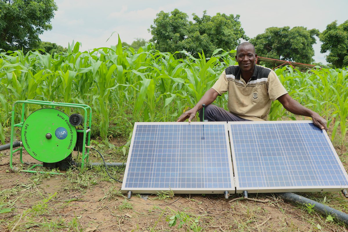 Victoria Sabula tweet media