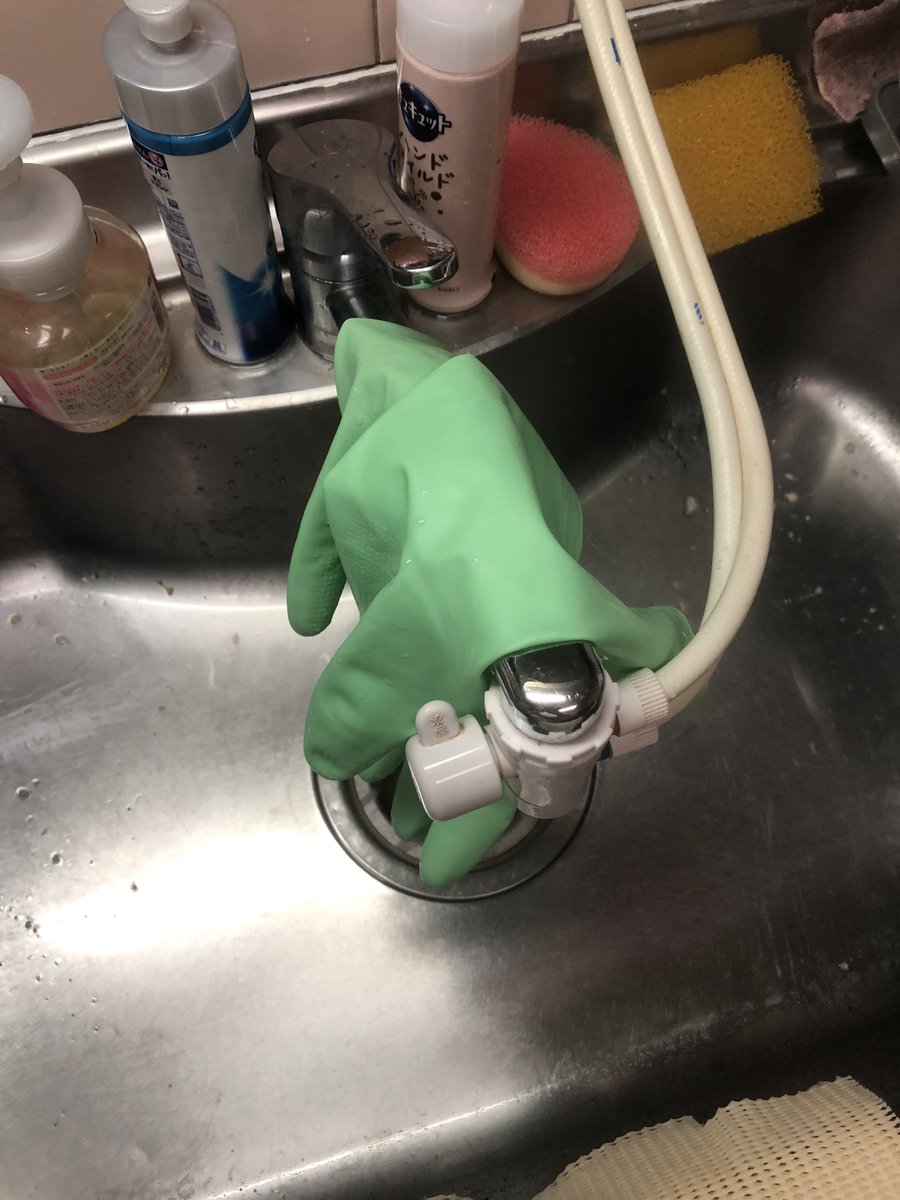 バラのラバー tweet media