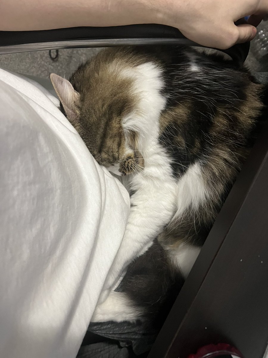 batsponge tweet media