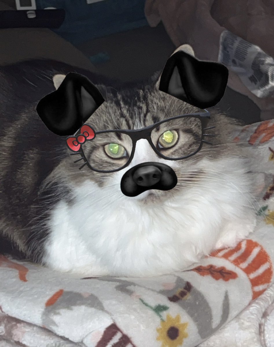 batsponge tweet media