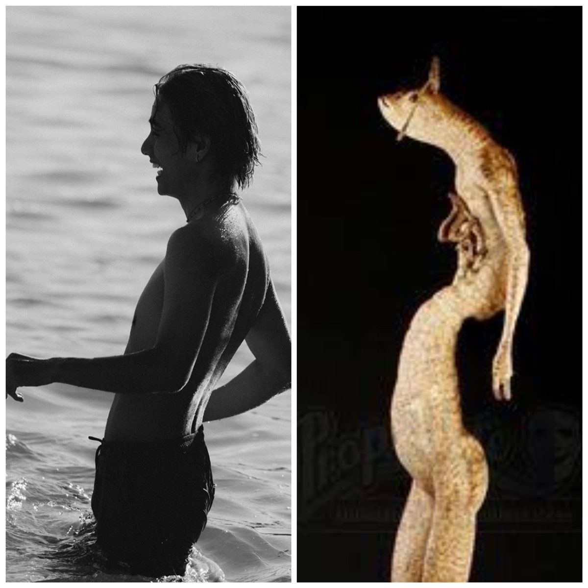 “what i want”                    “What I get”