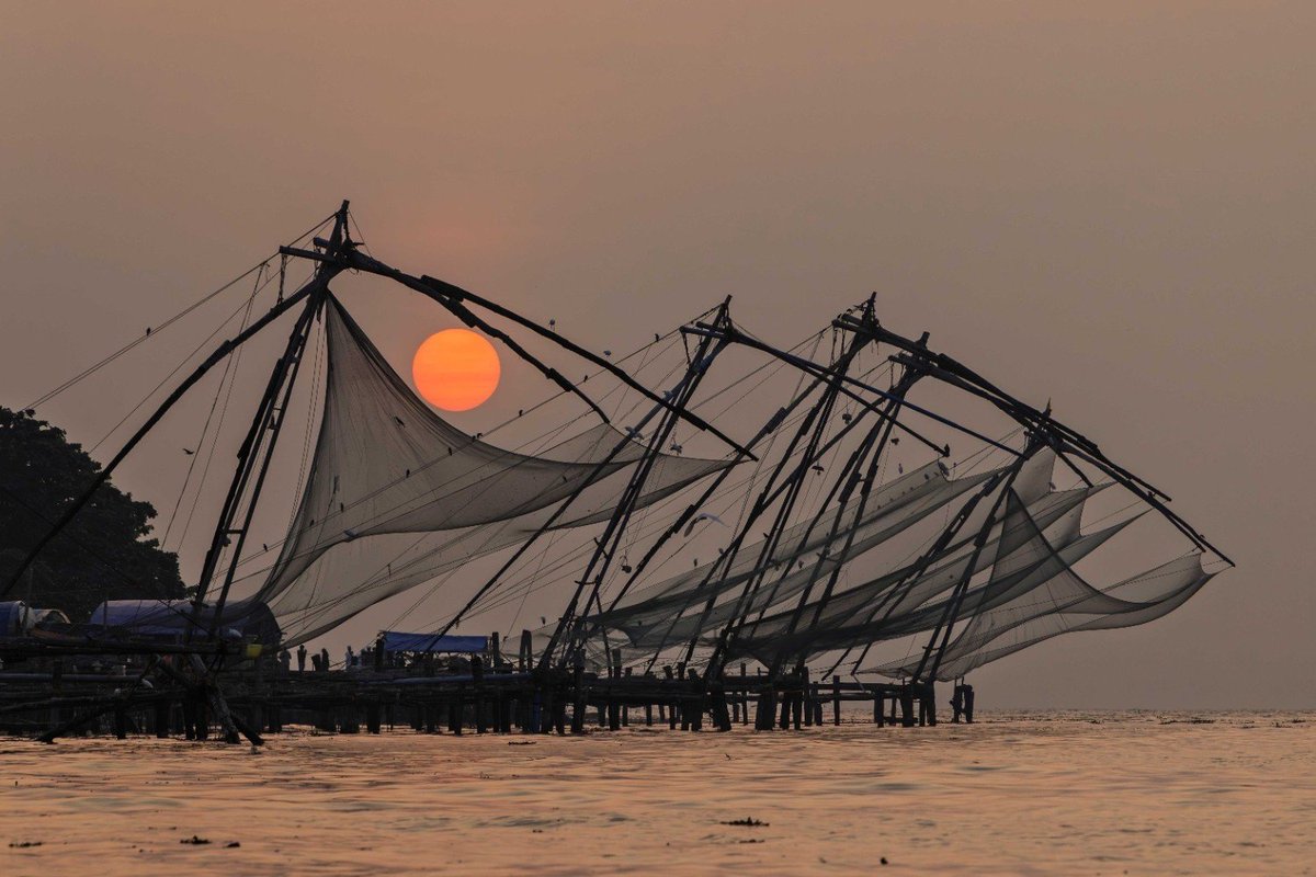 Abir Pothi tweet media