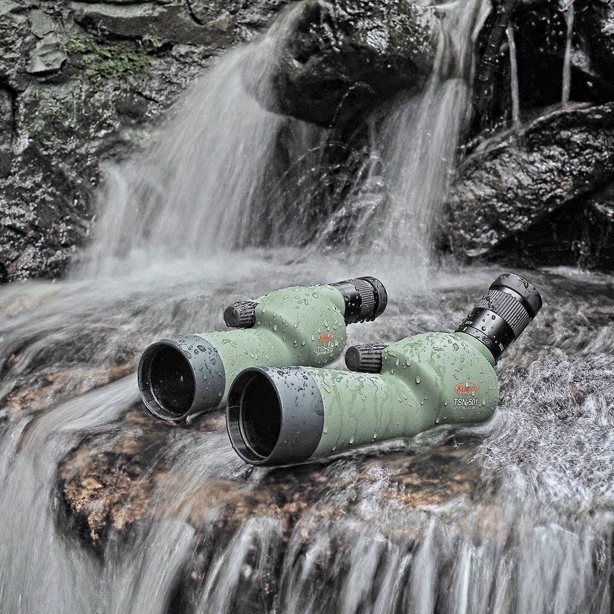swoptics's tweet image. Lightweight, waterproof, and built for adventure, the Kowa TSN-501 offers 20–40x magnification in a compact 50mm spotting scope - perfect for travel and close-up nature viewing.

🔗 shorturl.at/wYD9M

#SouthWestOptics #Kowa #SpottingScope #NatureWatching