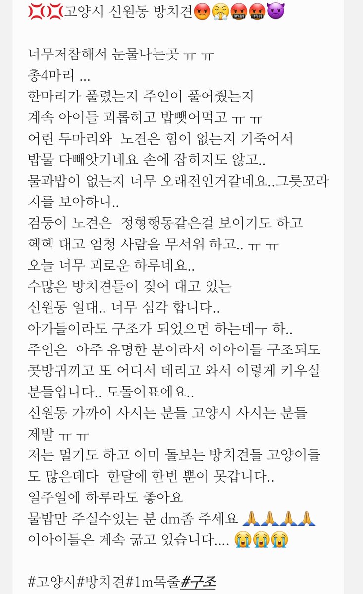 🐻❄️웅이🐻❄️ tweet media