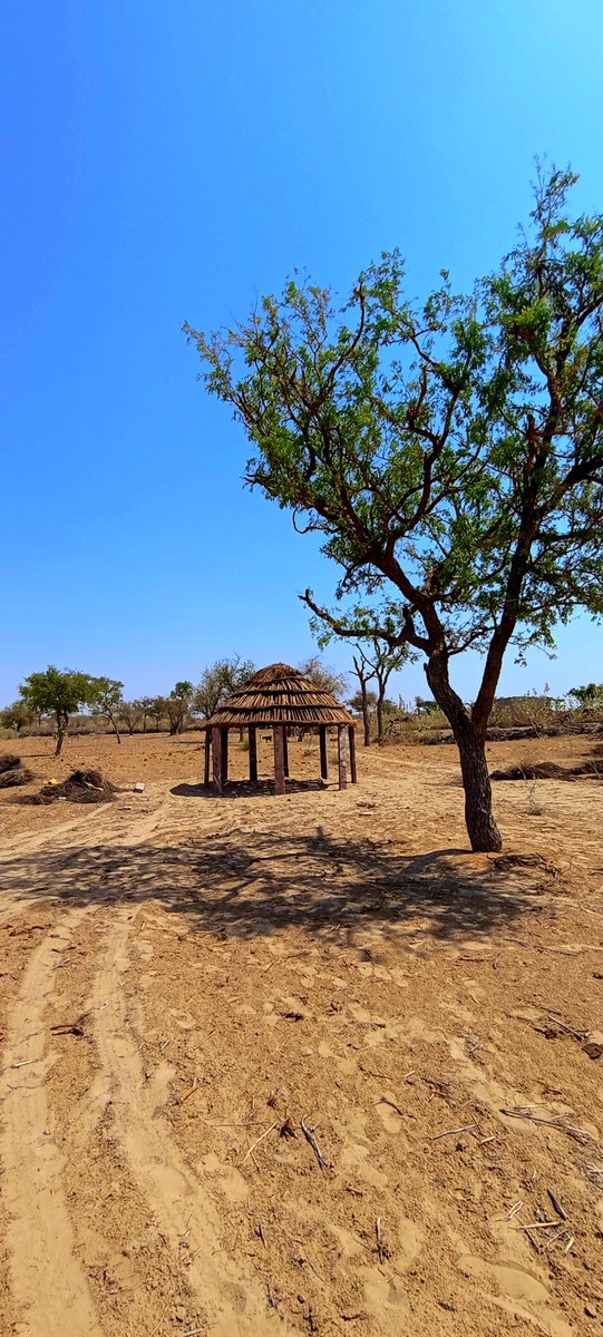 QP/share whatever you like for  #WhateverWednesday