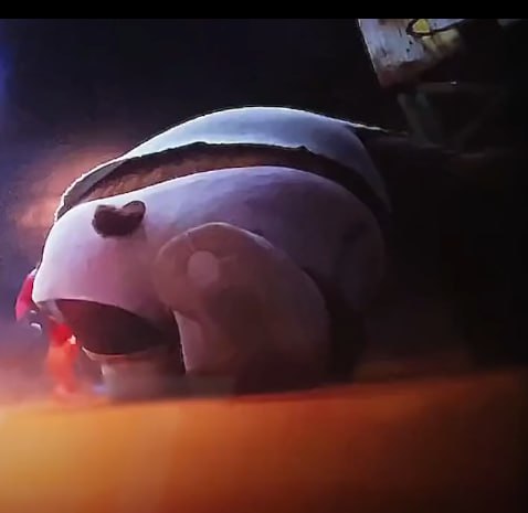 AmolTheBoar's tweet image. I know you guys like Modo more but this bear was the best thing in this movie.