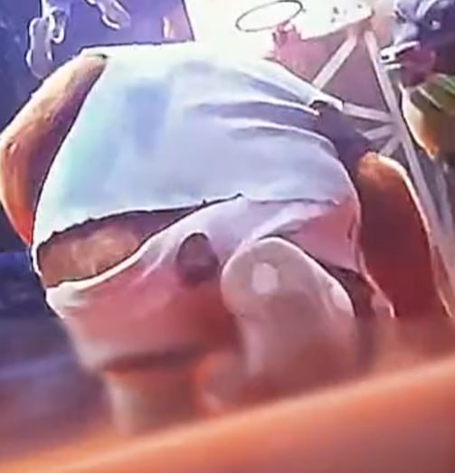 AmolTheBoar's tweet image. I know you guys like Modo more but this bear was the best thing in this movie.