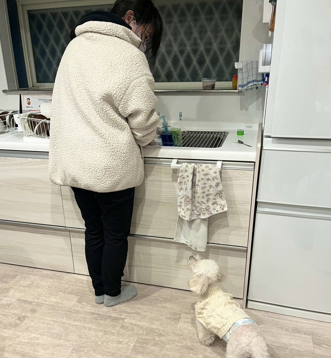 仕事中にふと下を見ると
こっち見ててくれてるから頑張れる🥹
#施設の方が撮ってくれたよ📸