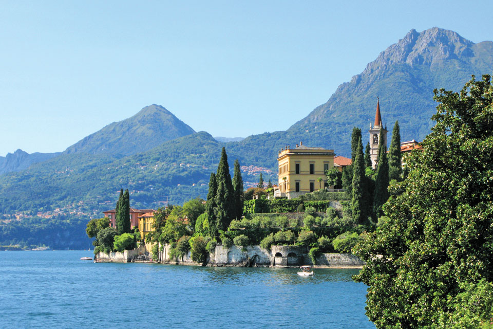 The Light Magazine tweet media