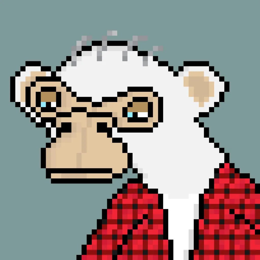 Admiral 🦉 Byrd Ᵽ 🐸 tweet media