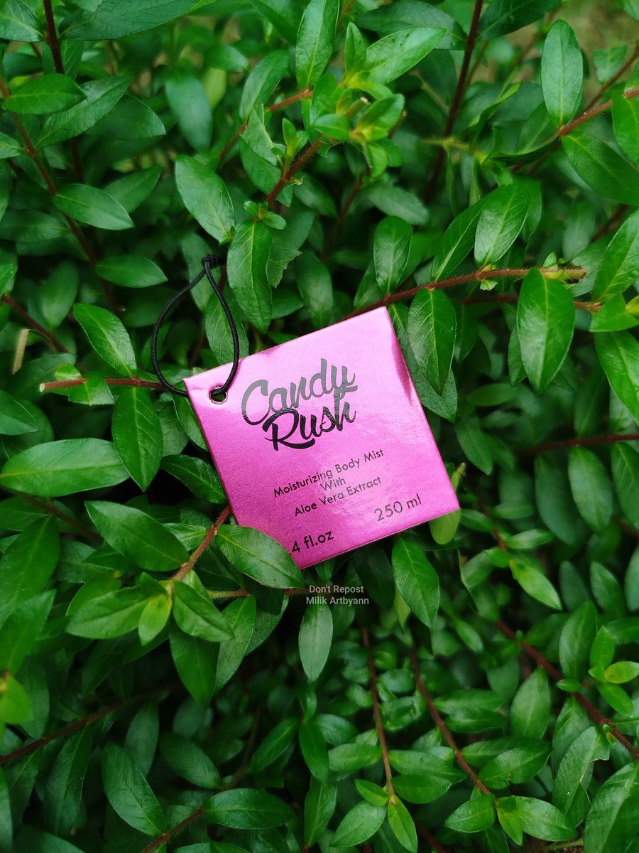 — Ann 𑁍ࠬܓ tweet media