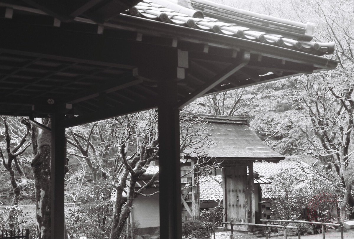 RT @kyoto_suki: それでは皆さま、おやすみなさいませ(( _ _ ))..zzzZZ