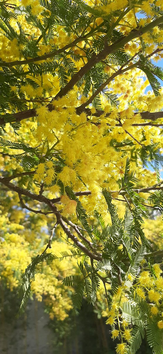 "Nella ricerca della felicità, impara a godere dei piccoli momenti, perché sono quelli che rendono la vita straordinaria!"