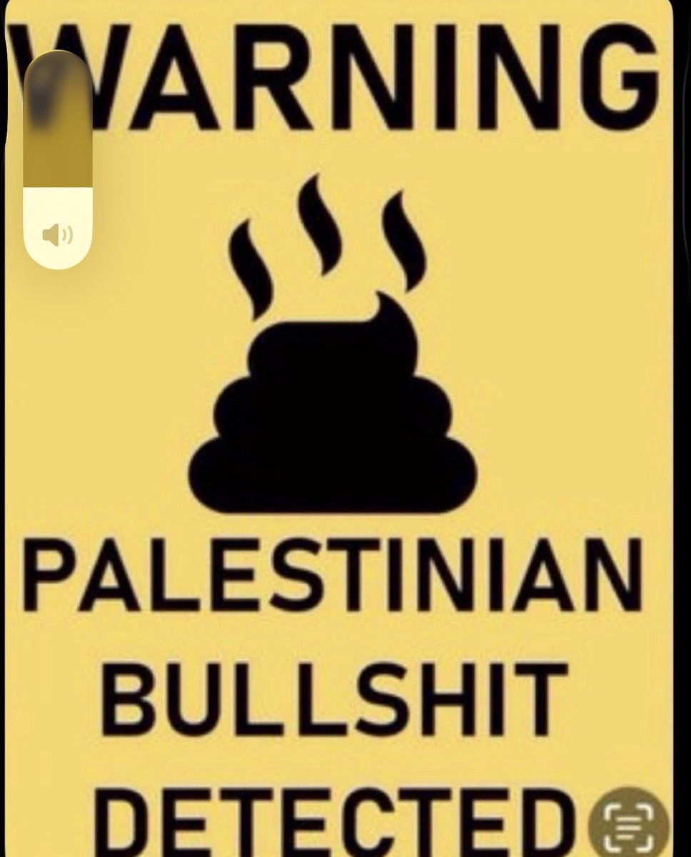 David Bertaccini tweet media