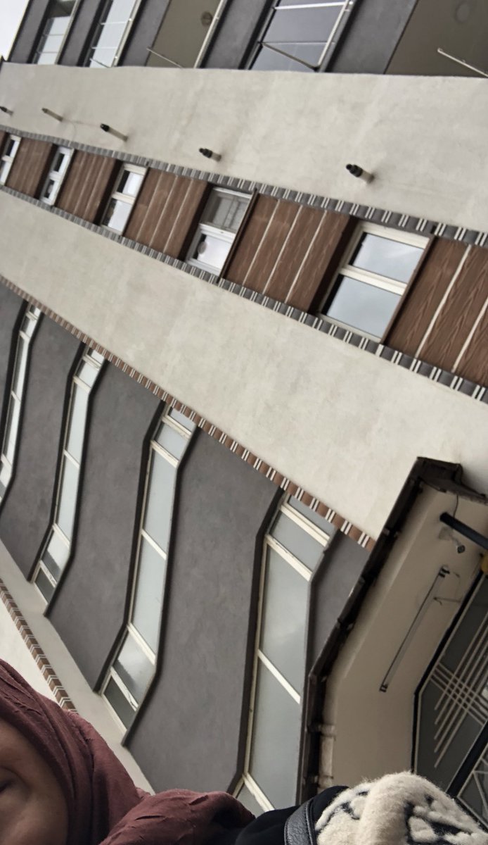 Sinekkuşu tweet media