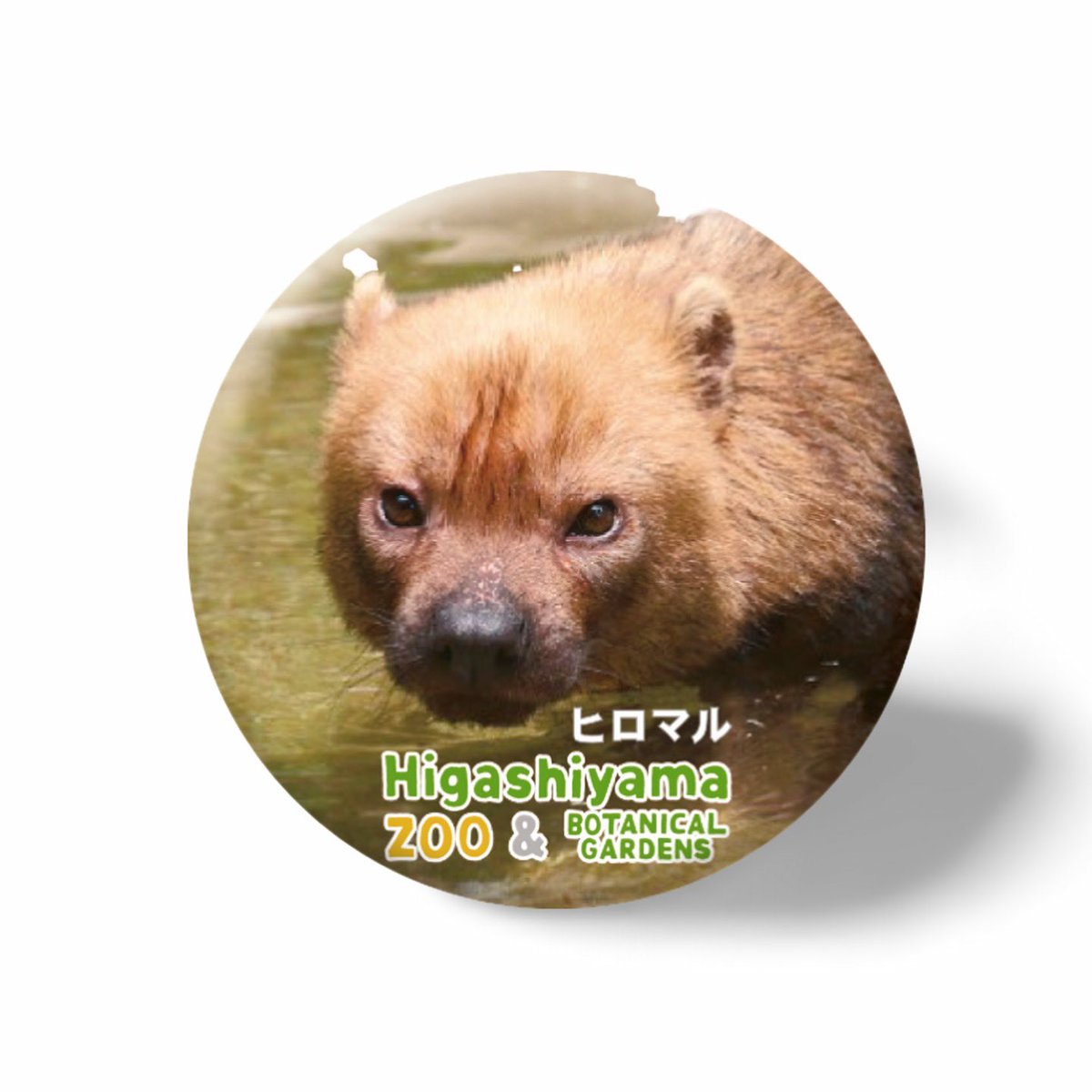 𝑚𝑎𝑟𝑢(ﾏﾙ) (@maru2022) / Posts / X