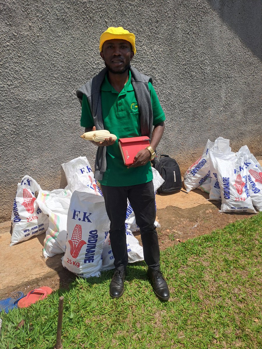 KWIZERA63044115's tweet image. Today, we harvested maize at KUNGAHARA AGRIBUSINESS GROUP,#KAG  this harvest means more than food, it means job creation, increased income, and stronger livelihoods for local families.
Growing together. @AnthonyEgeru @AnthonyEmaru
#CommunityEngagement
#JobCreation