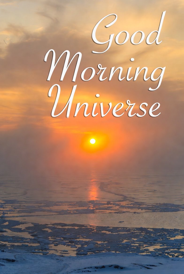 Mickey H (@michell52714638) on Twitter photo 