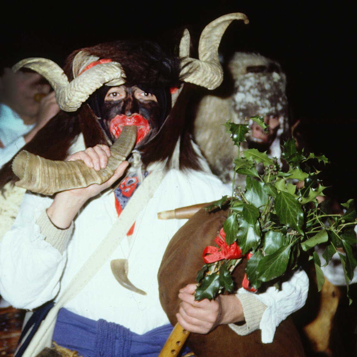 Salvador Palomar tweet media