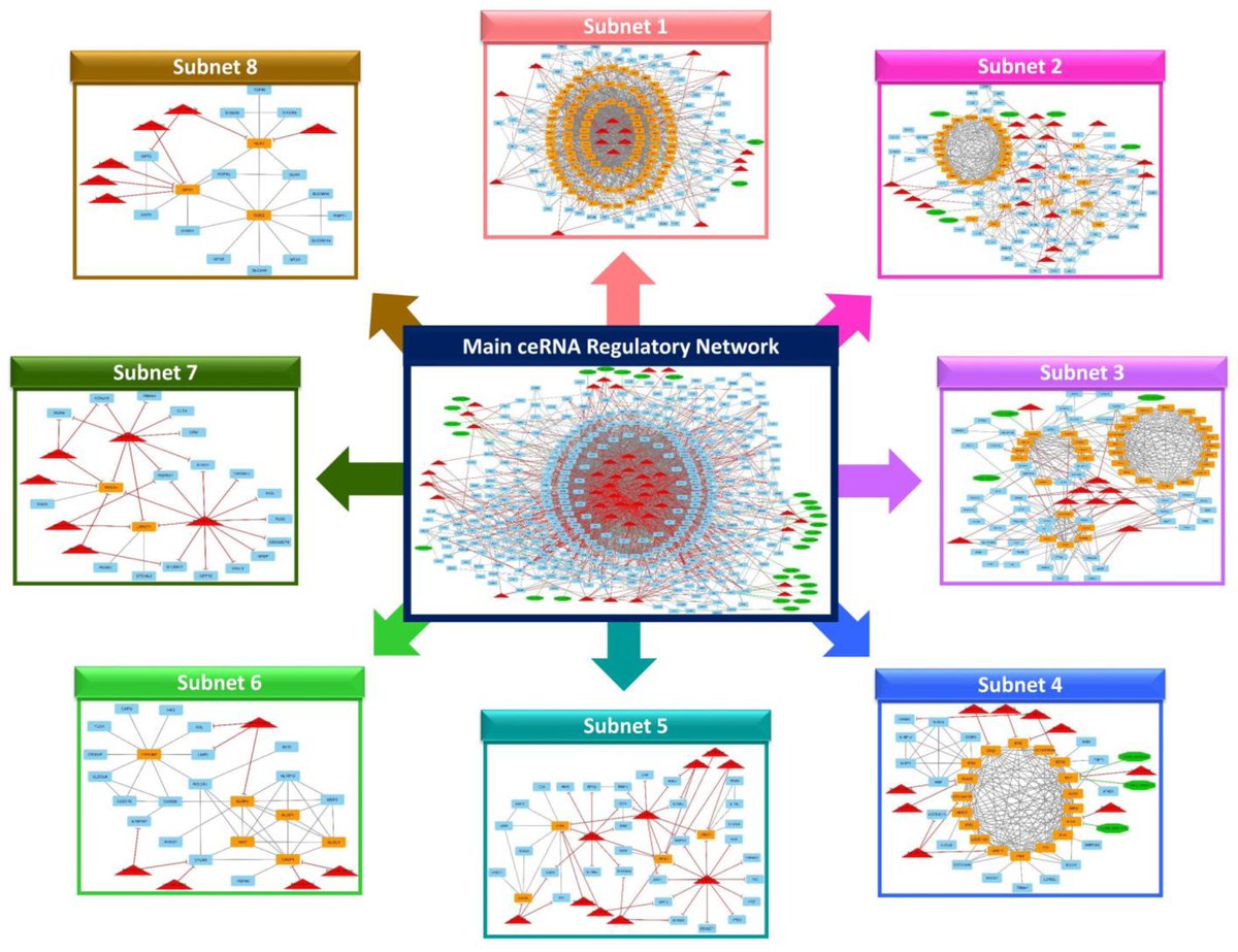Non-Coding RNA tweet media