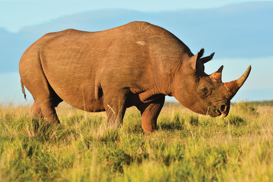 The Light Magazine tweet media