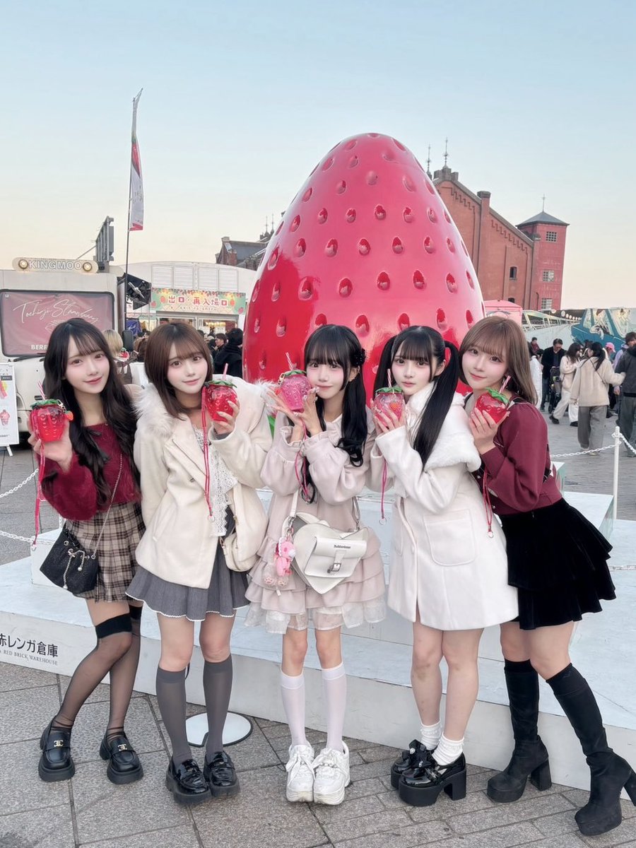 ストロベリーフェスティバル𓈒 ˖🍓