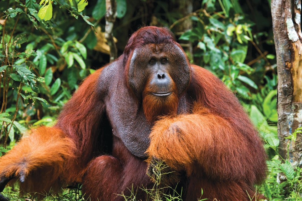 The Light Magazine tweet media