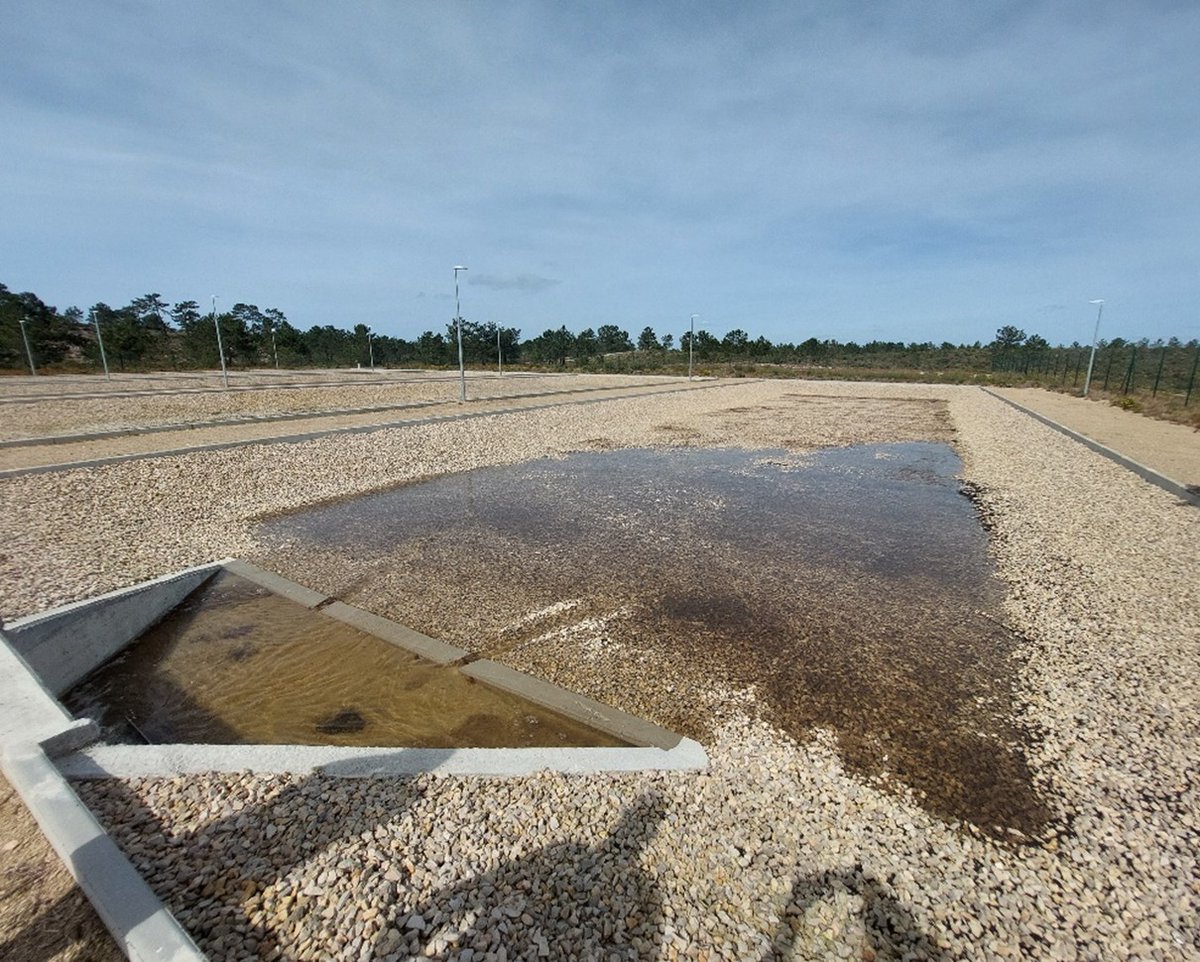 MARCLAIMED 🇪🇺 tweet media