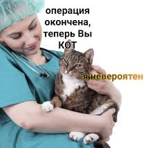 bro_twitt's tweet photo. https://t.co/Tn5I1fiqkh