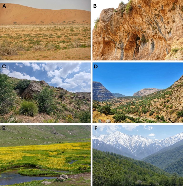 Go Belowground! tweet media