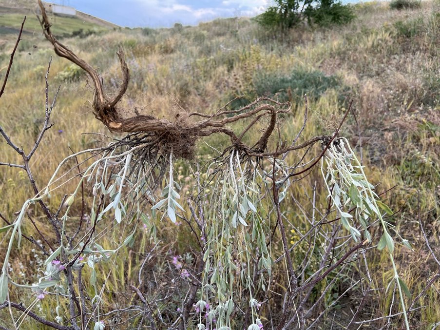 Go Belowground! tweet media