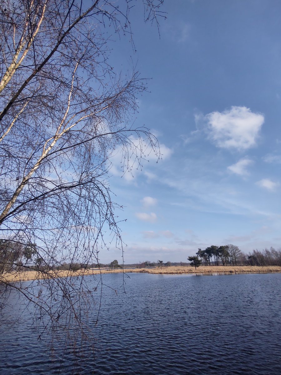 marckske40's tweet photo. #vrtweer Turnhout https://t.co/ECMBJu7144