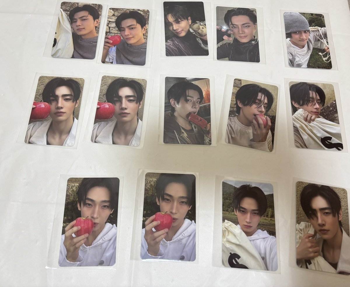 ENHYPEN THE SIN : VANISH 過去トレカ交換 トレカ 譲 ジョンウォン