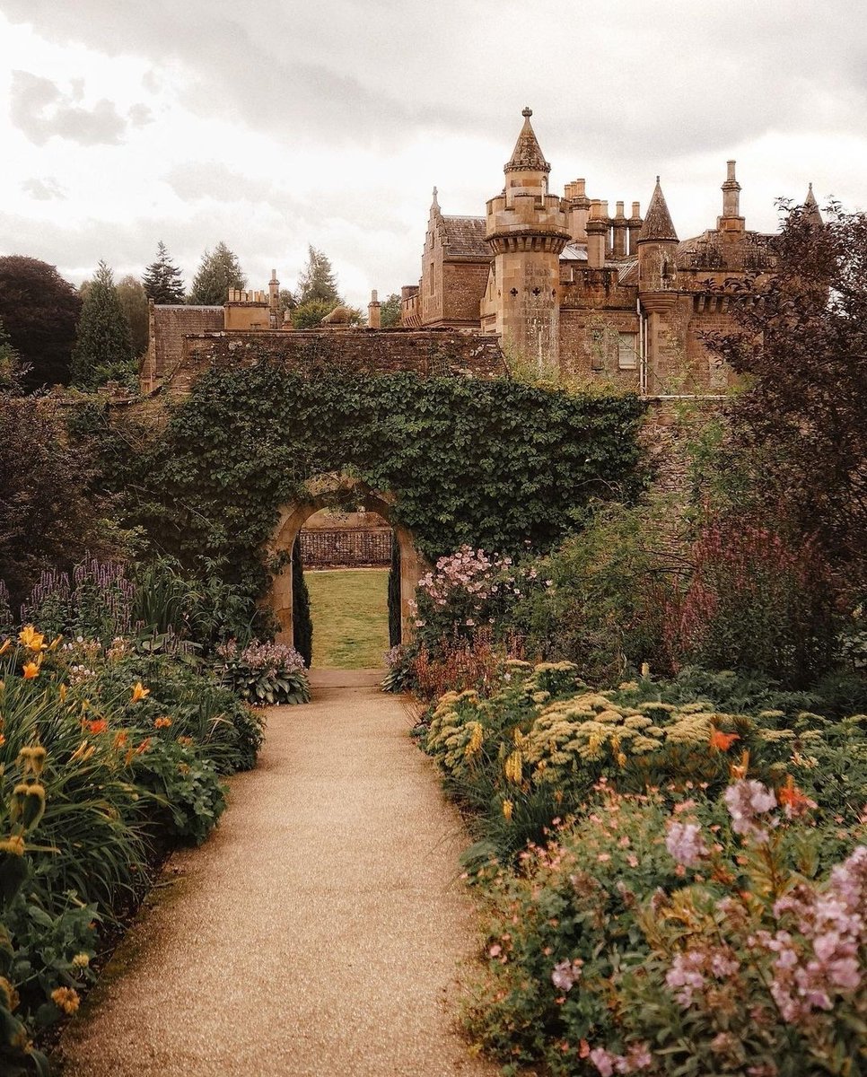 Nostalgic Academia tweet media