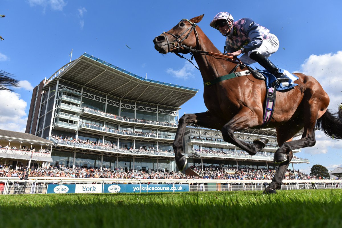 York Racecourse tweet media
