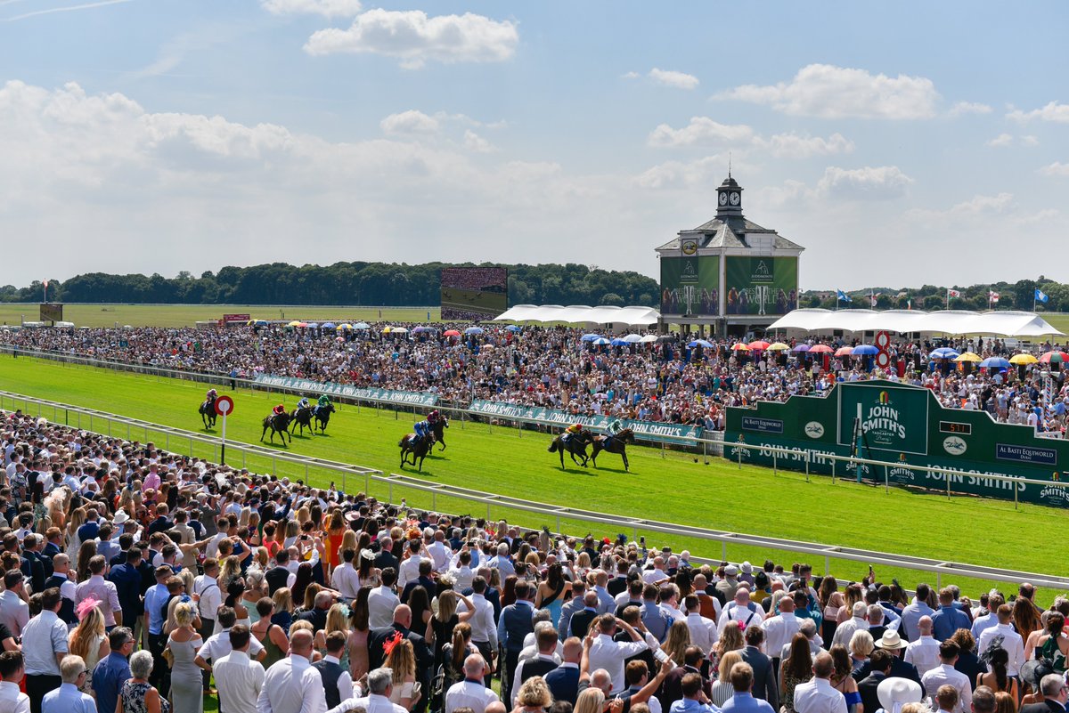 York Racecourse tweet media