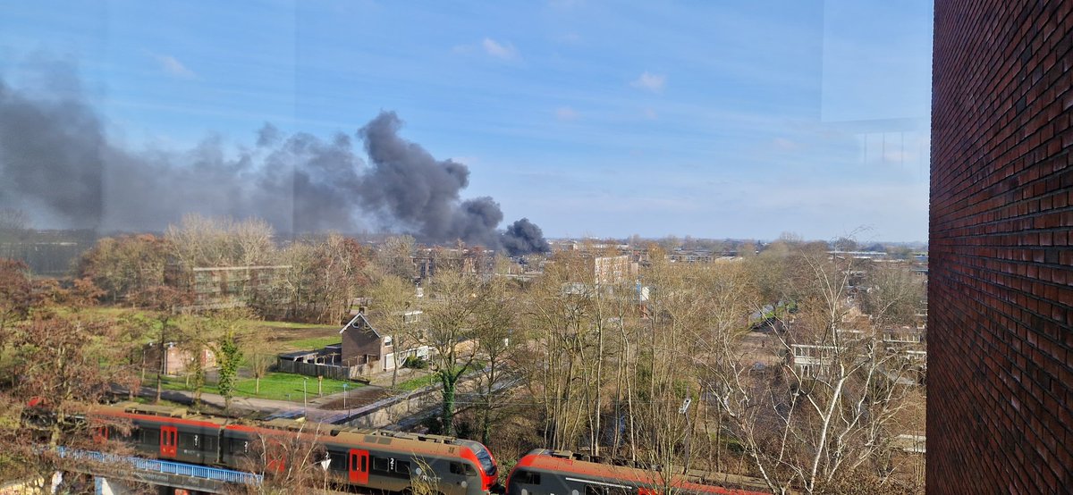 DJ Thuis tweet media