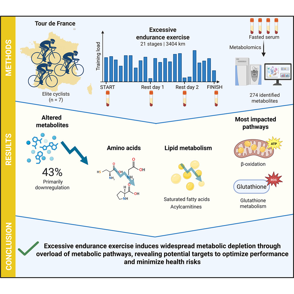 Andrew Koutnik, Ph.D. tweet media