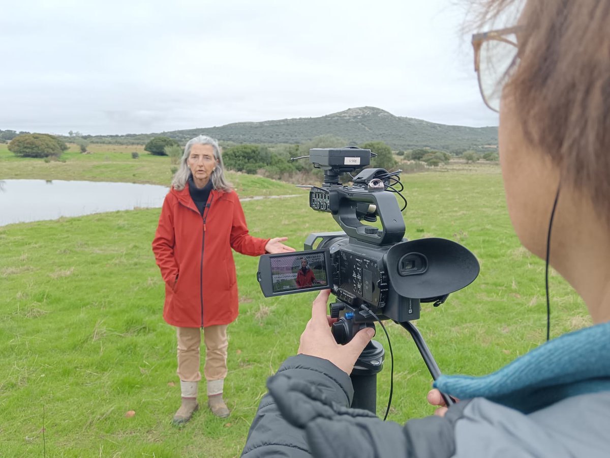 ChoiceEU tweet media