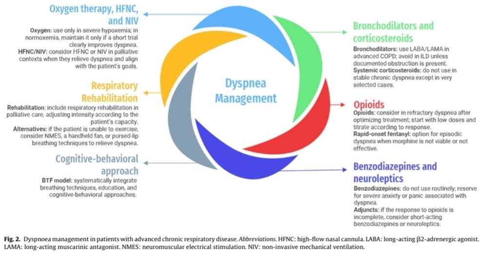 jpedrokessner tweet media