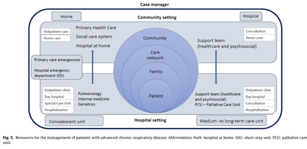 jpedrokessner tweet media