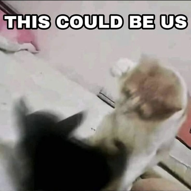 แฟนคนแรก คบ3 ปี Ldr จับได้ว่านอกใจคบซ้อนคนอื่นมาเป็นปี  (ช็อก1)

ผญคนใหม่ไปคาดคั้น มันเลยมาบอกเลิกนี่ (ช็อก 2) 

ค่ำนั้นโทรมาบอกล้อเล่น ไม่ได้มีคนอื่น แกล้งอำ (ช็อก3) นี่ร้องไห้ แต่ก็ดีใจ

อีก 10 นาทีโทรมา บอกว่าเลิกจริงๆนะ ที่บอกเมื่อกี๊คือประชดคนใหม่เฉยๆ (หัวเราะอยู่ข้างกัน)