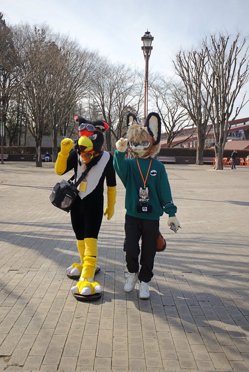 asufia_coffee's tweet photo. #まろまーる2026 
広い会場で、様々なところへ📸

③ 🐱 @5lr5cf2Zto42657 https://t.co/qIuw5ATNk7