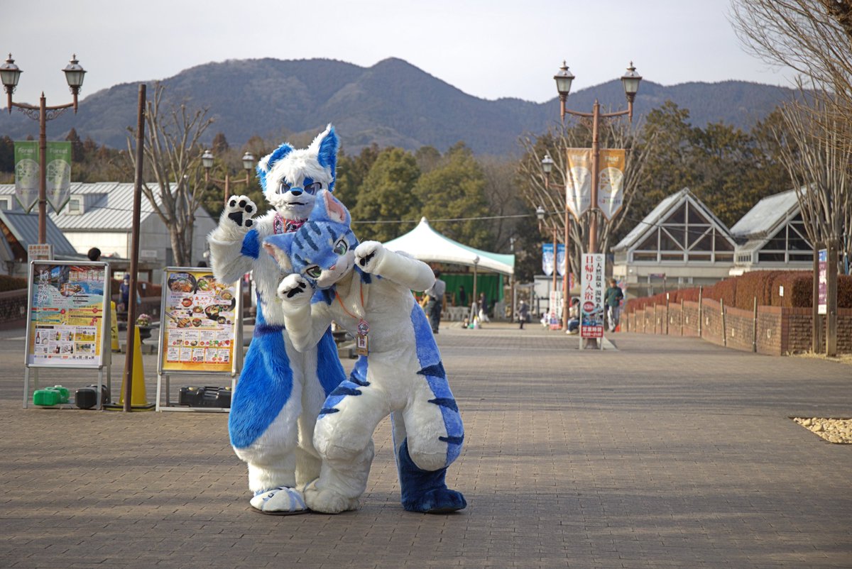 asufia_coffee's tweet photo. #まろまーる2026 
広い会場で、様々なところへ📸

③ 🐱 @5lr5cf2Zto42657 https://t.co/qIuw5ATNk7