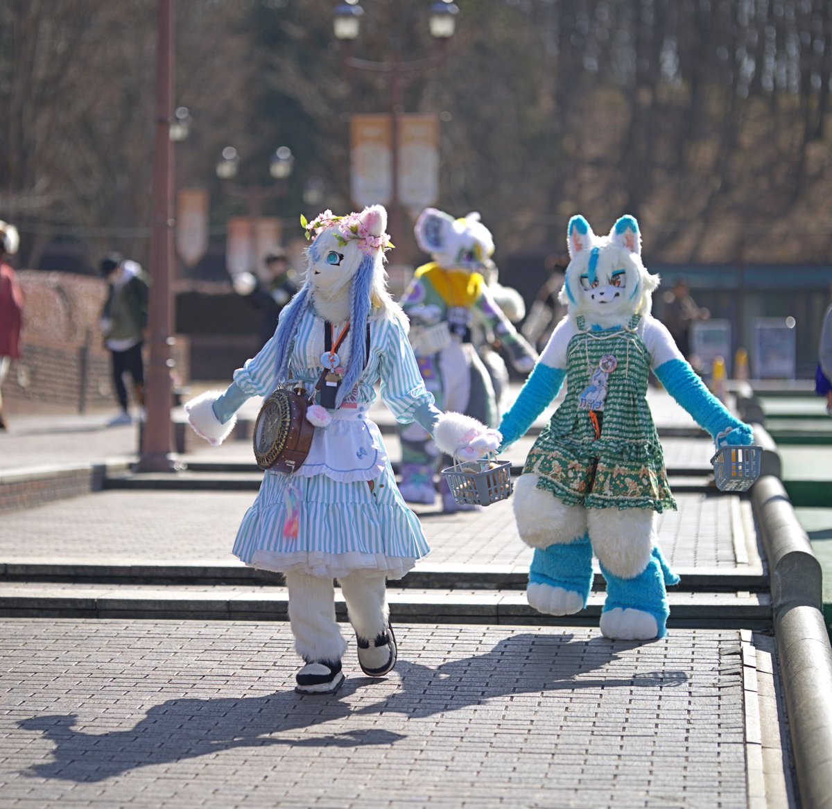 asufia_coffee's tweet photo. #まろまーる2026 
広い会場で、様々なところへ📸

③ 🐱 @5lr5cf2Zto42657 https://t.co/qIuw5ATNk7