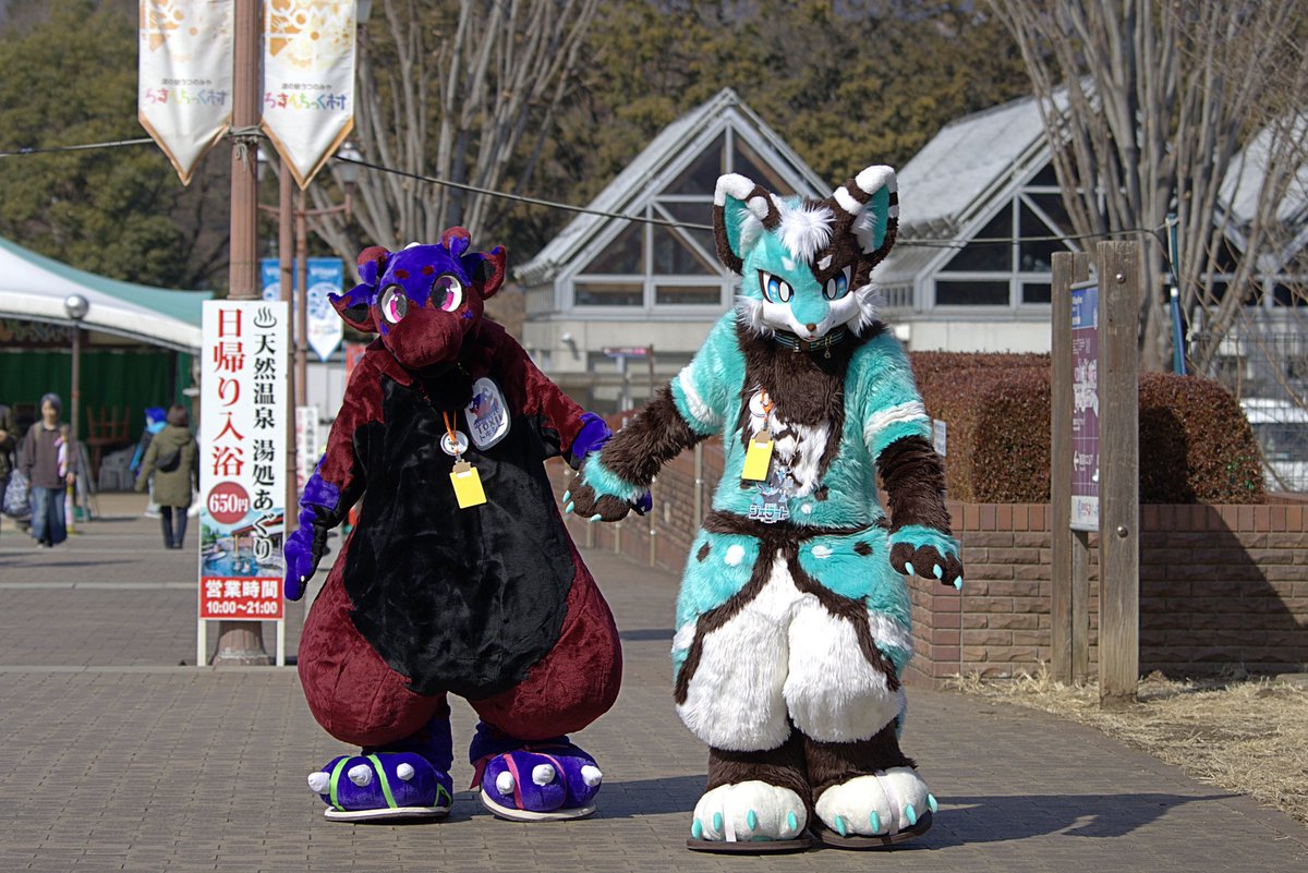 asufia_coffee's tweet photo. #まろまーる2026 
広い会場で、様々なところへ📸

③ 🐱 @5lr5cf2Zto42657 https://t.co/qIuw5ATNk7