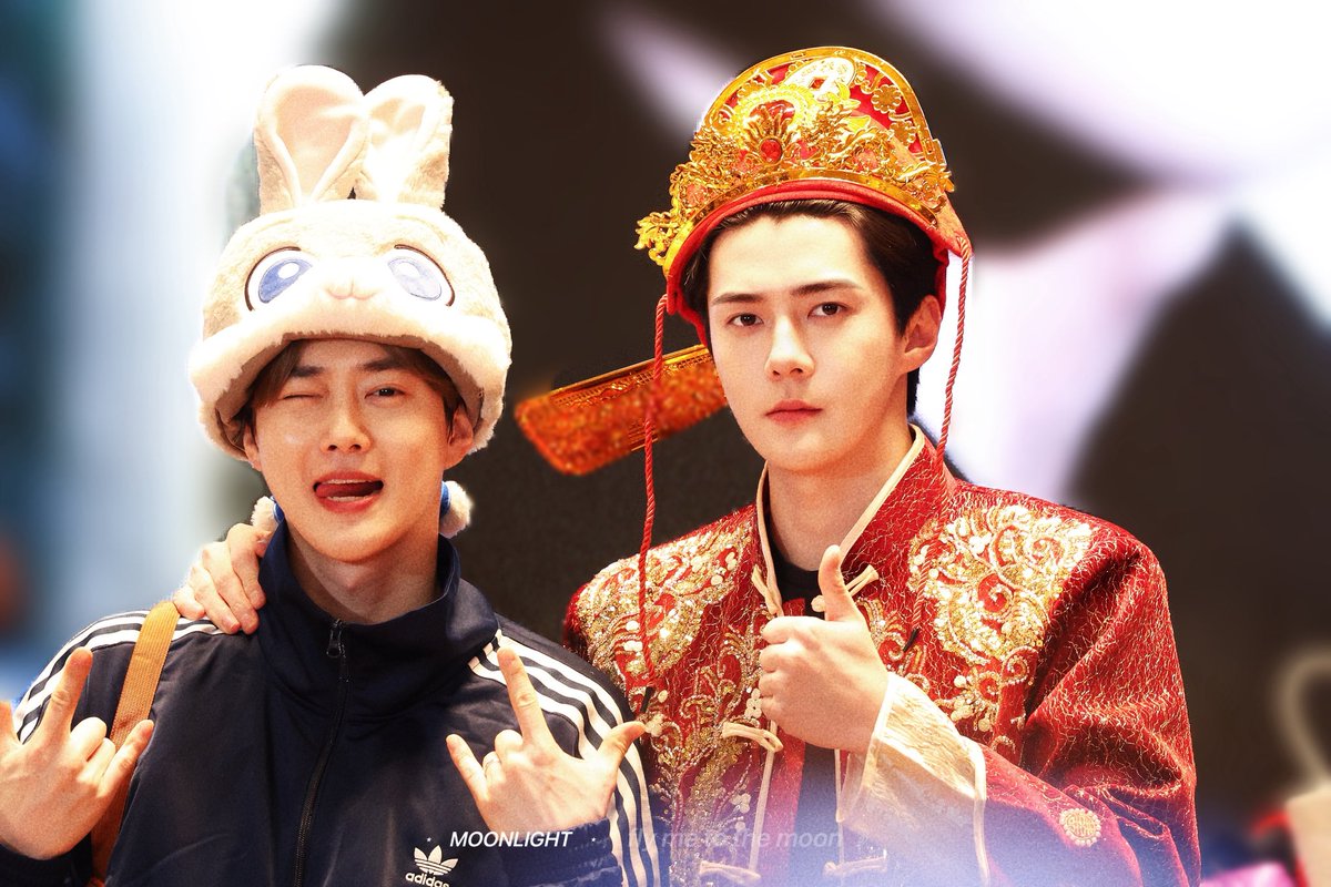 Moonlight_sh tweet media